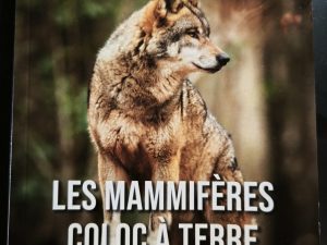 Couverture de la revue Le Zéphyr n°17 montrant un loup debout sur un rocher avec le titre Les mammifères coloc à terre.